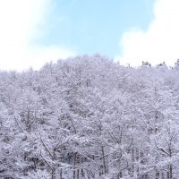 おかげさん：2021年に向けて