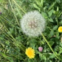 おかげさんのなんくるウィークリー〜ゲスト編〜
