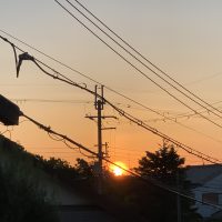 おかげさん：ひとりートークがまだまだ続くゆめのたね8月分