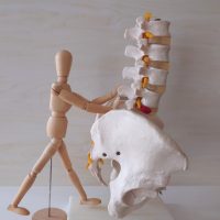 大阪スポーツ運動指導者セミナー2024開催！！