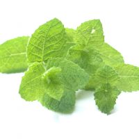 ピラティスサークル”ミント”　いよいよスタート