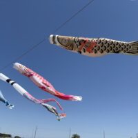☘️5月6月のオンラインレッスンのご案内🍀